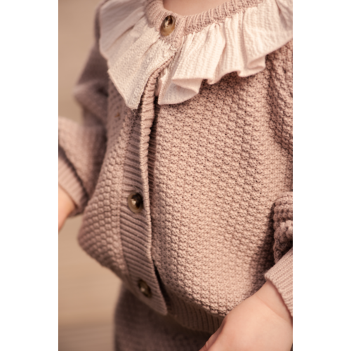 Donsje Paars baby vest met kraag