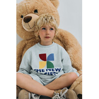 TNS Logo Sweatshirt Light Grey Melange