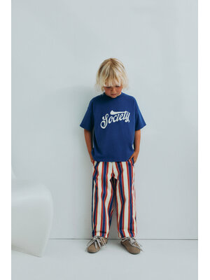 the new society Gorse Pant Gorse Stripes