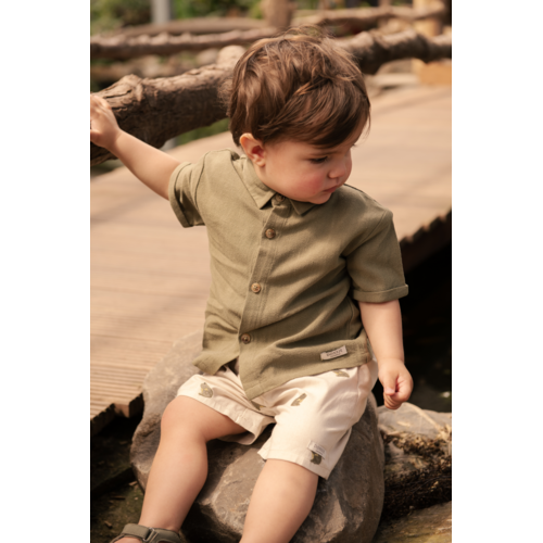 Donsje Groene blouse met korte mouwen