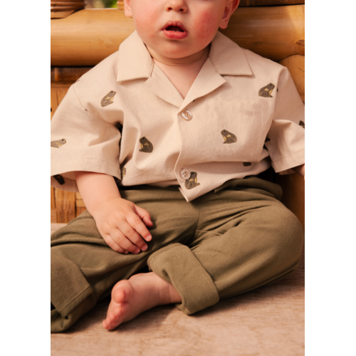 Donsje Lichte polo met kikkers