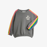 The Milky Way Rainbow Panel Sweatshirt | Grey