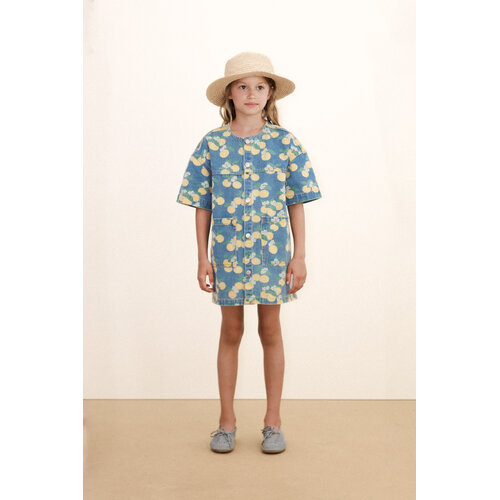 Tinycottons Oranges Denim Dress