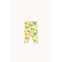 Oranges Rib Baby Pant