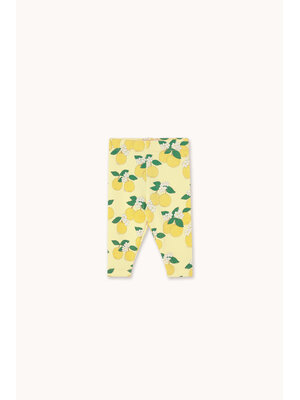 Tinycottons Oranges Rib Baby Pant