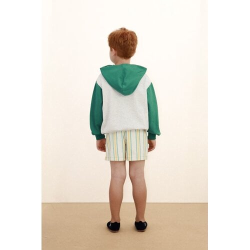 Tinycottons Kleurrijke gestreepte short