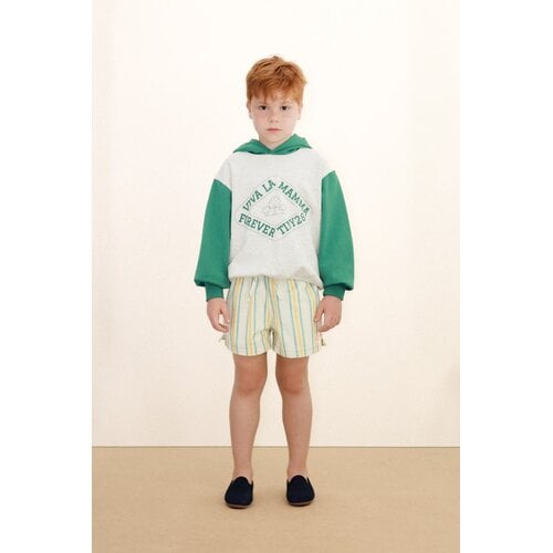 Tinycottons Kleurrijke gestreepte short