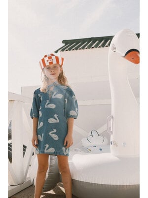 Tinycottons Big Swans Dress
