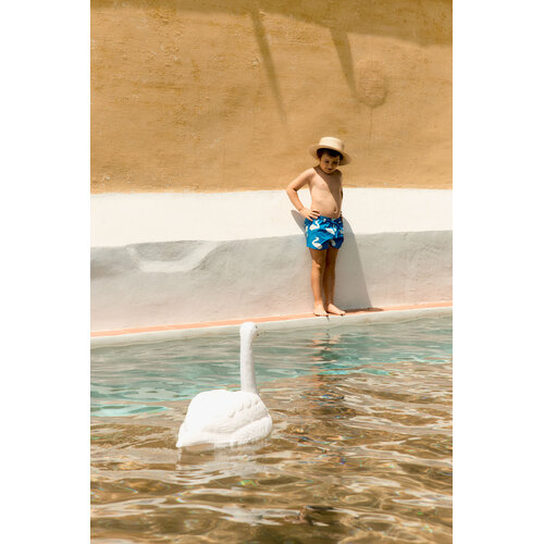 Tinycottons Zwembroek met zwanen print