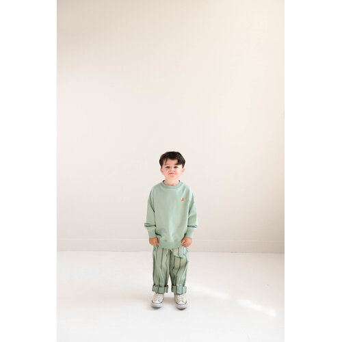 JENEST Groen gestreepte broek