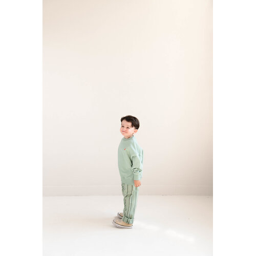 JENEST Groen gestreepte broek