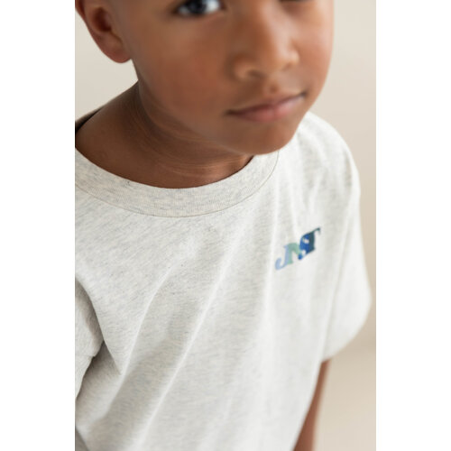 JENEST Grijs t-shirt met logo print