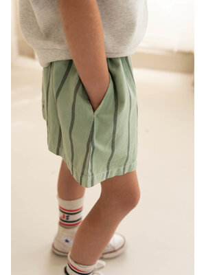 JENEST Sasha Skirt | Sage Green Stripe