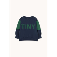 Tiny Color Block Sweatshirt Navy