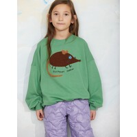 Elephant shrew chenille sweatshirt | Green
