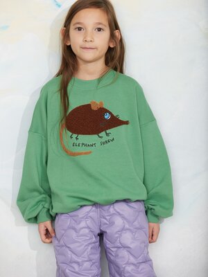Mini Rodini Elephant shrew chenille sweatshirt | Green Mini Rodini Elephant shrew chenille sweatshirt | Green