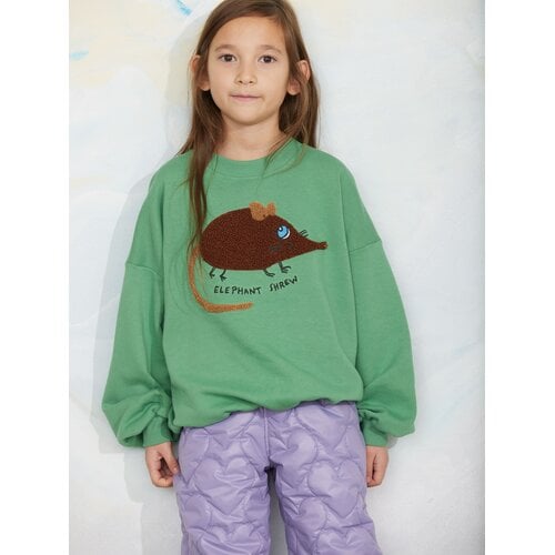 Mini Rodini Groene sweater met een muis Mini Rodini Groene sweater met een muis