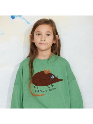 Mini Rodini Elephant shrew chenille sweatshirt | Green Mini Rodini Elephant shrew chenille sweatshirt | Green