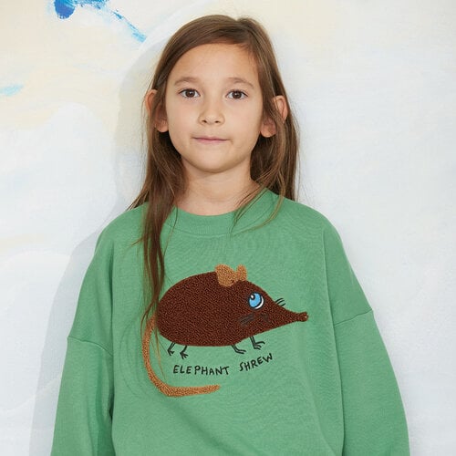Mini Rodini Elephant shrew chenille sweatshirt | Green Mini Rodini Elephant shrew chenille sweatshirt | Green