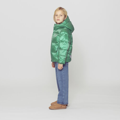 GOSOAKY Waterdichte korte winterjas in groen metallic GOSOAKY Waterdichte korte winterjas in groen metallic