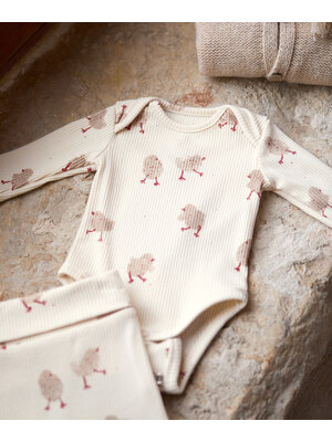Play up Printed Rib Body | Sketches Play up Printed Rib Body | Sketches