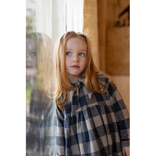 1 + in the family Blauw geruit jurkje