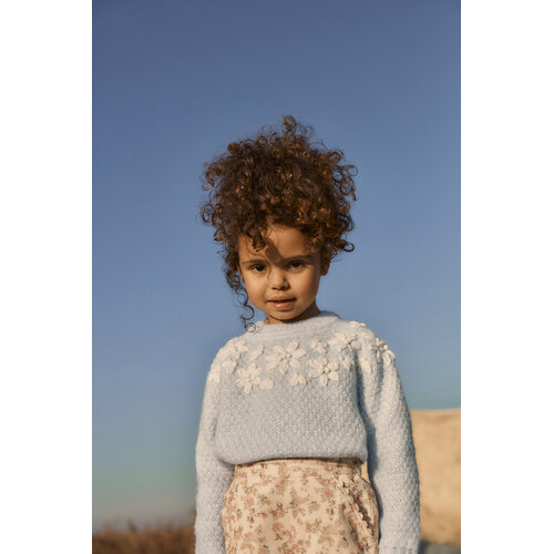 Louise Misha Wol gebreide trui in licht blauw Louise Misha Wol gebreide trui in licht blauw