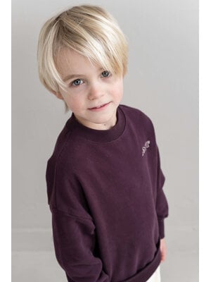 JENEST Jnst Sweater | Cherry Bordeaux JENEST Jnst Sweater | Cherry Bordeaux