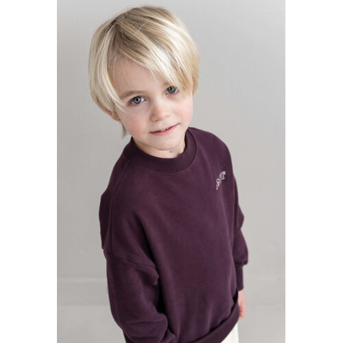 JENEST Jnst Sweater | Cherry Bordeaux JENEST Jnst Sweater | Cherry Bordeaux