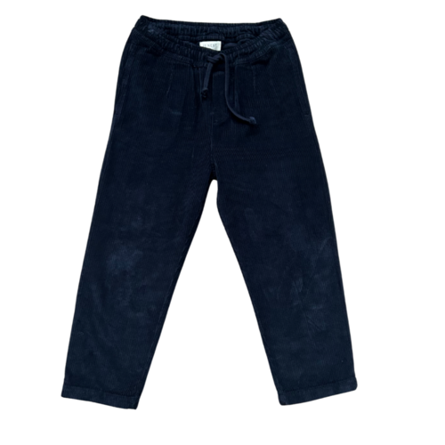 JENEST Corduroy chino in donker blauw JENEST Corduroy chino in donker blauw