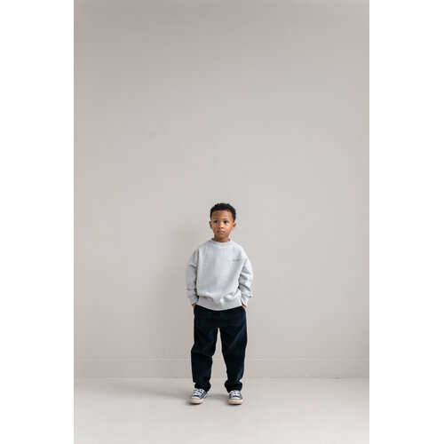 JENEST Corduroy chino in donker blauw JENEST Corduroy chino in donker blauw