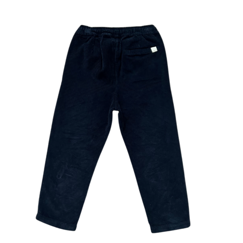 JENEST Corduroy chino in donker blauw JENEST Corduroy chino in donker blauw
