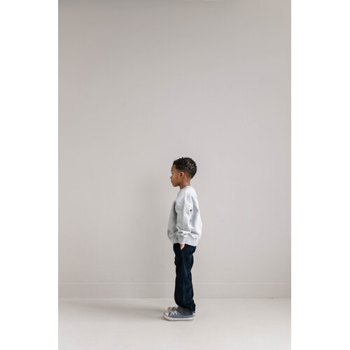 JENEST Corduroy chino in donker blauw JENEST Corduroy chino in donker blauw