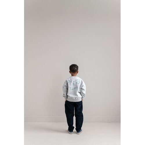 JENEST Corduroy chino in donker blauw JENEST Corduroy chino in donker blauw