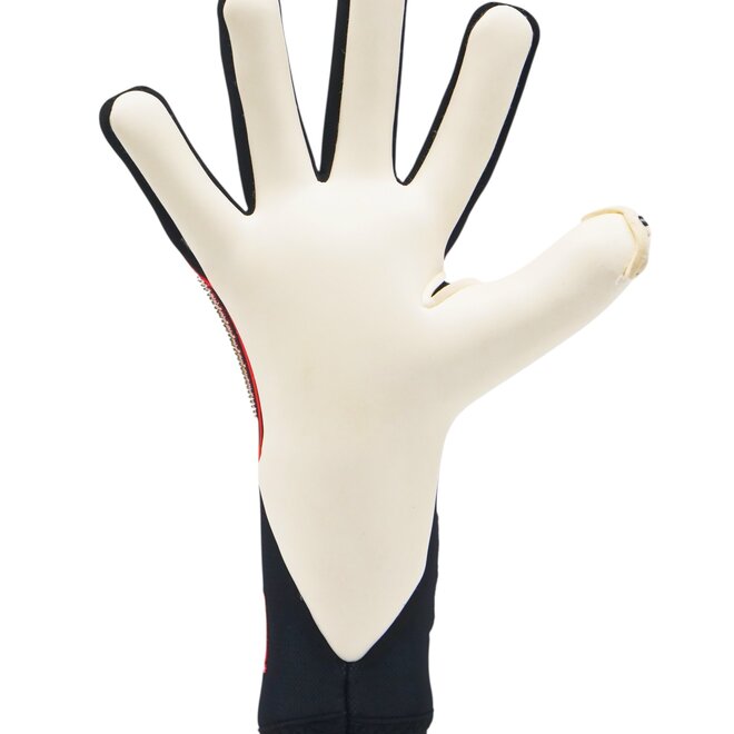 Toride Limited Edition