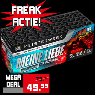 Geisha Meisterwerk Meine Liebe