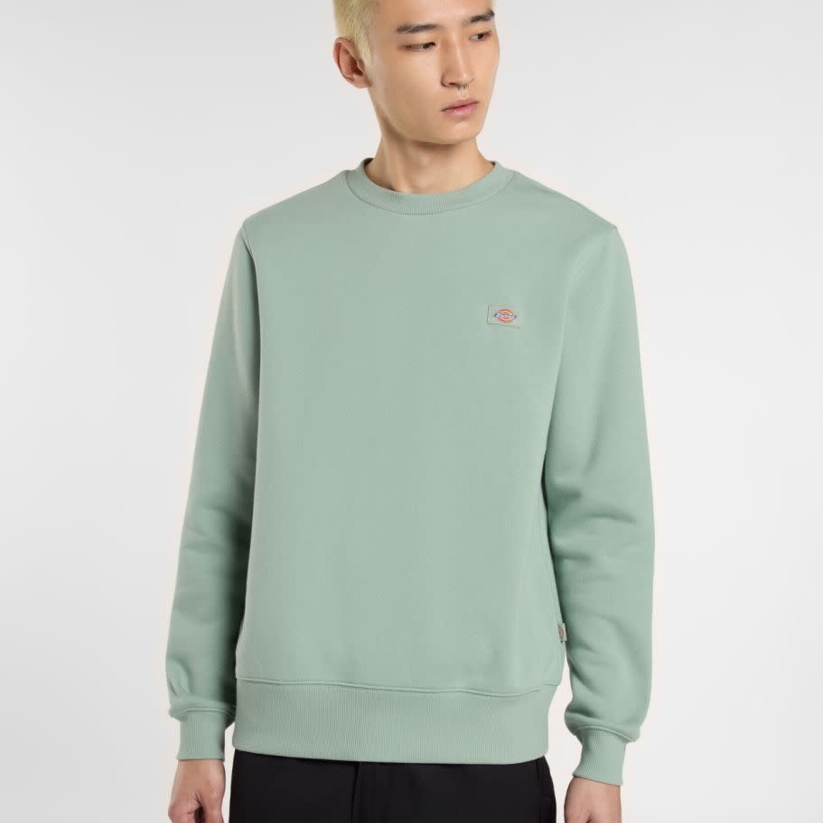 dickies Dickies crew oakport iceberg  green