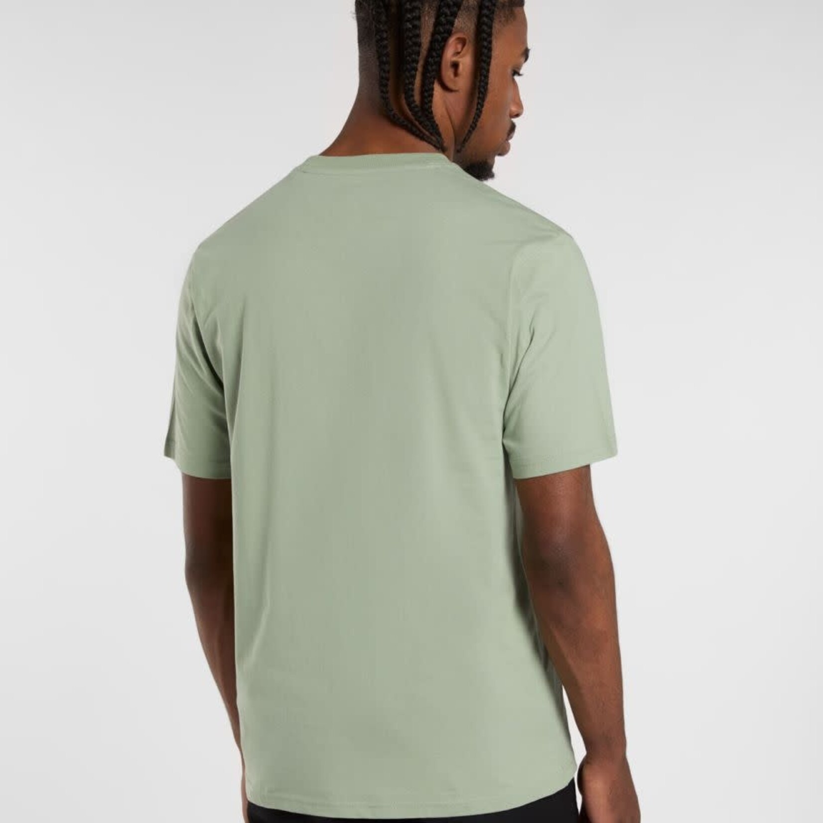 dickies Dickies tshirt mapleton  mint