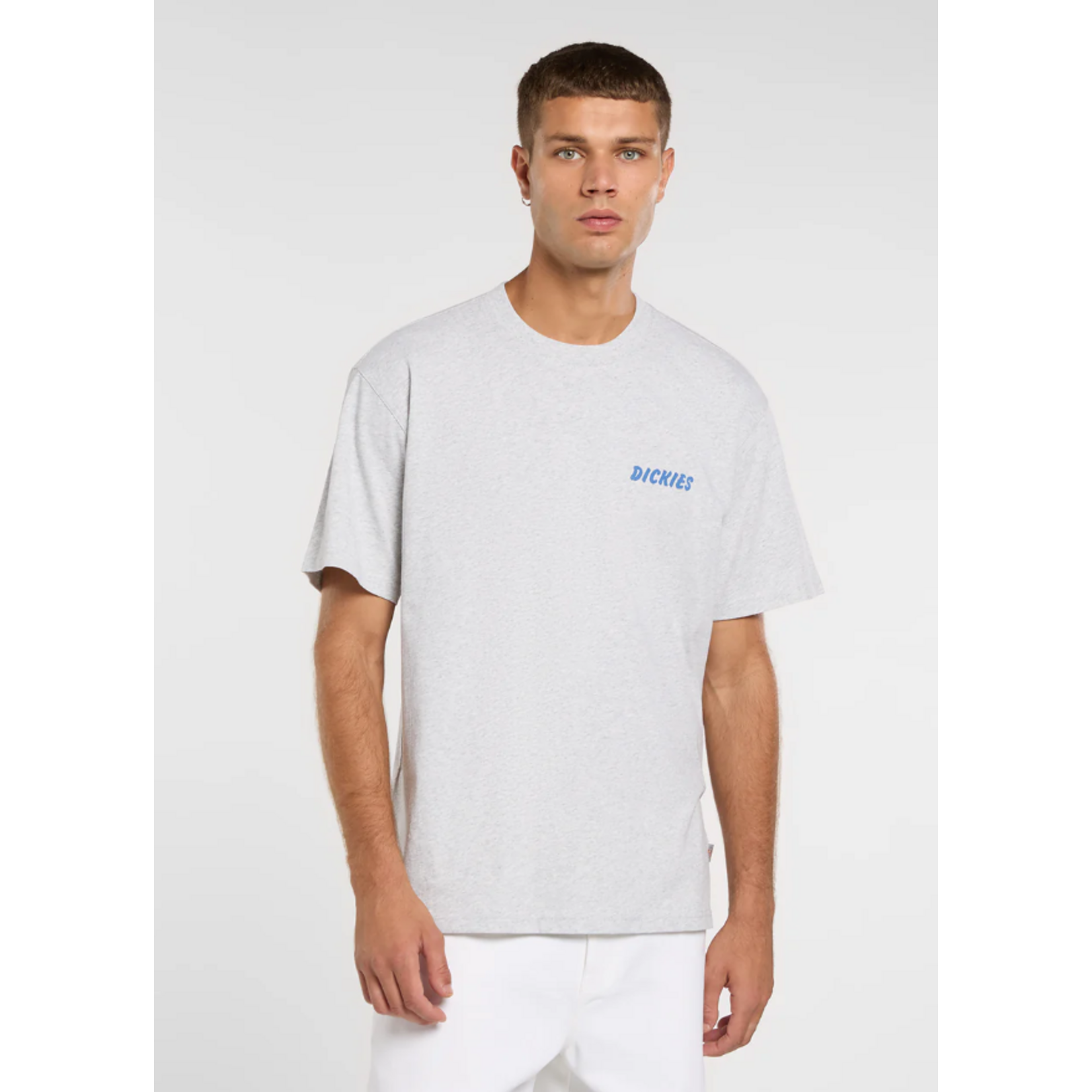 dickies Dickies tshirt dry ridge grijs