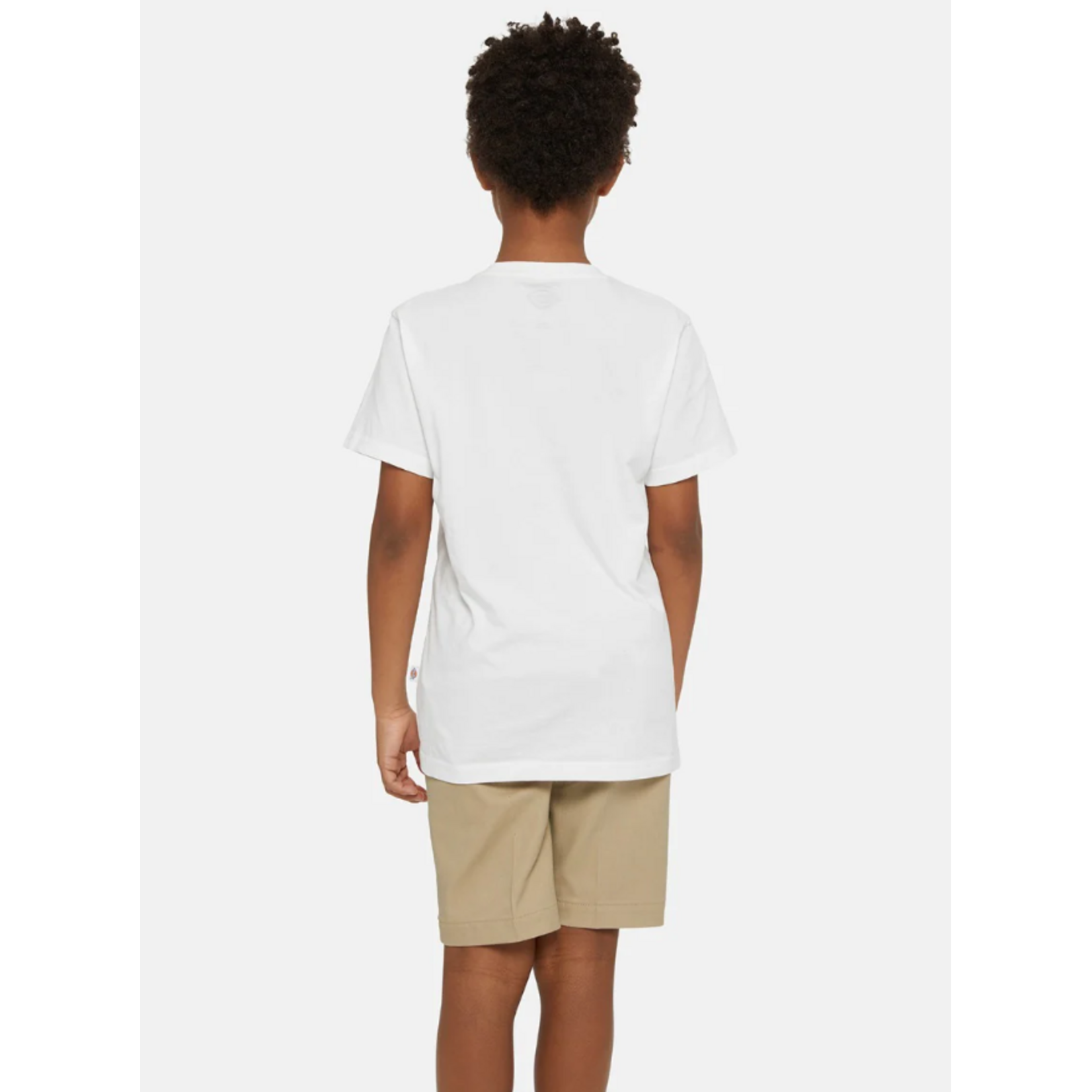 dickies Dickies tshirt kids mapleton wit