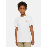 dickies Dickies tshirt kids mapleton wit