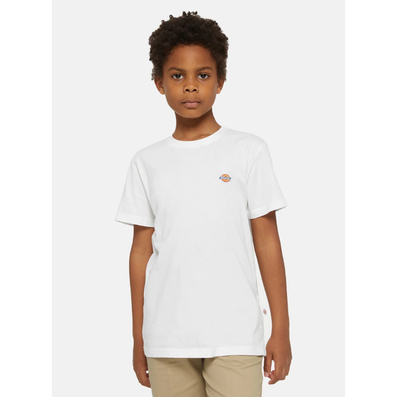dickies Dickies tshirt kids mapleton wit