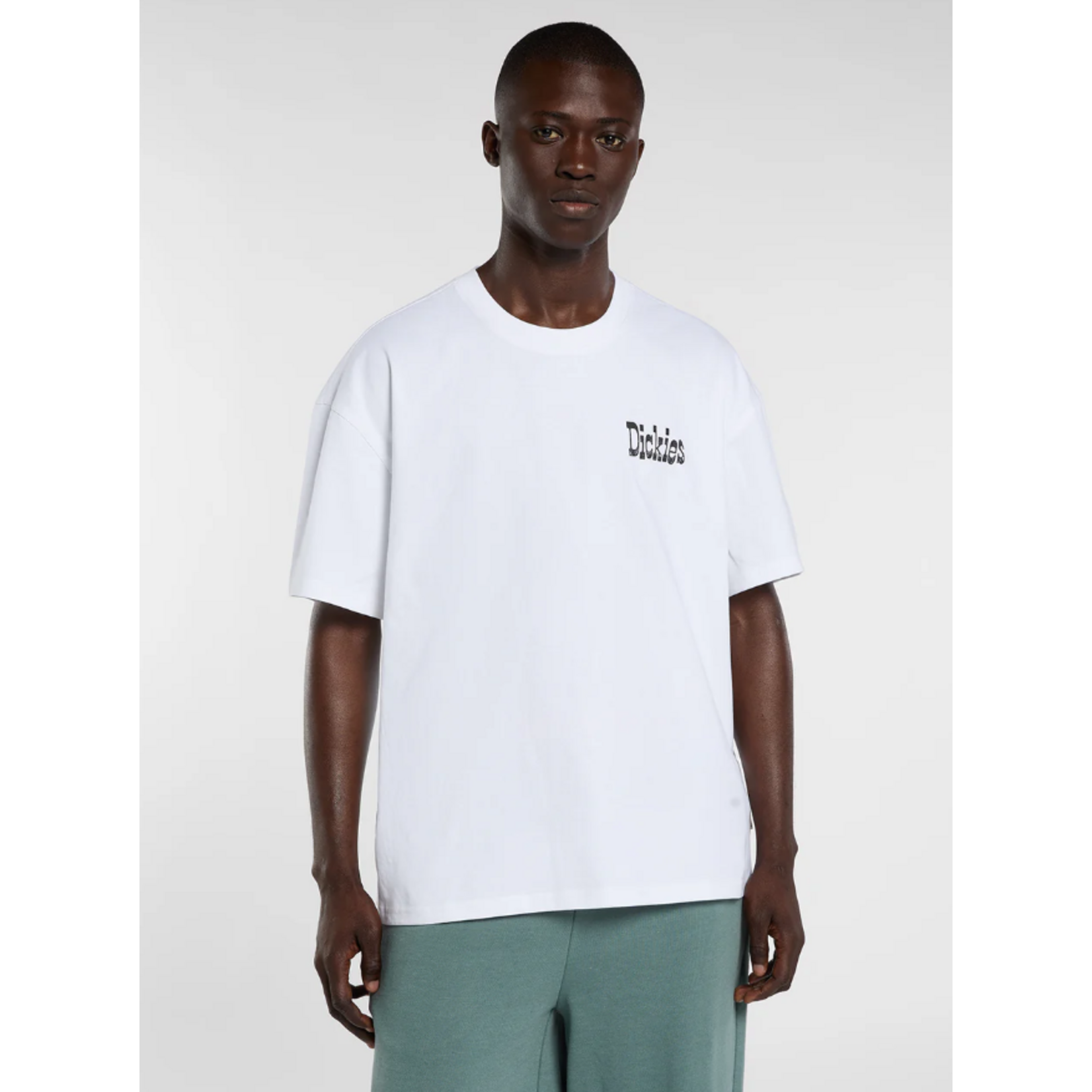 dickies Dickies tshirt polk white