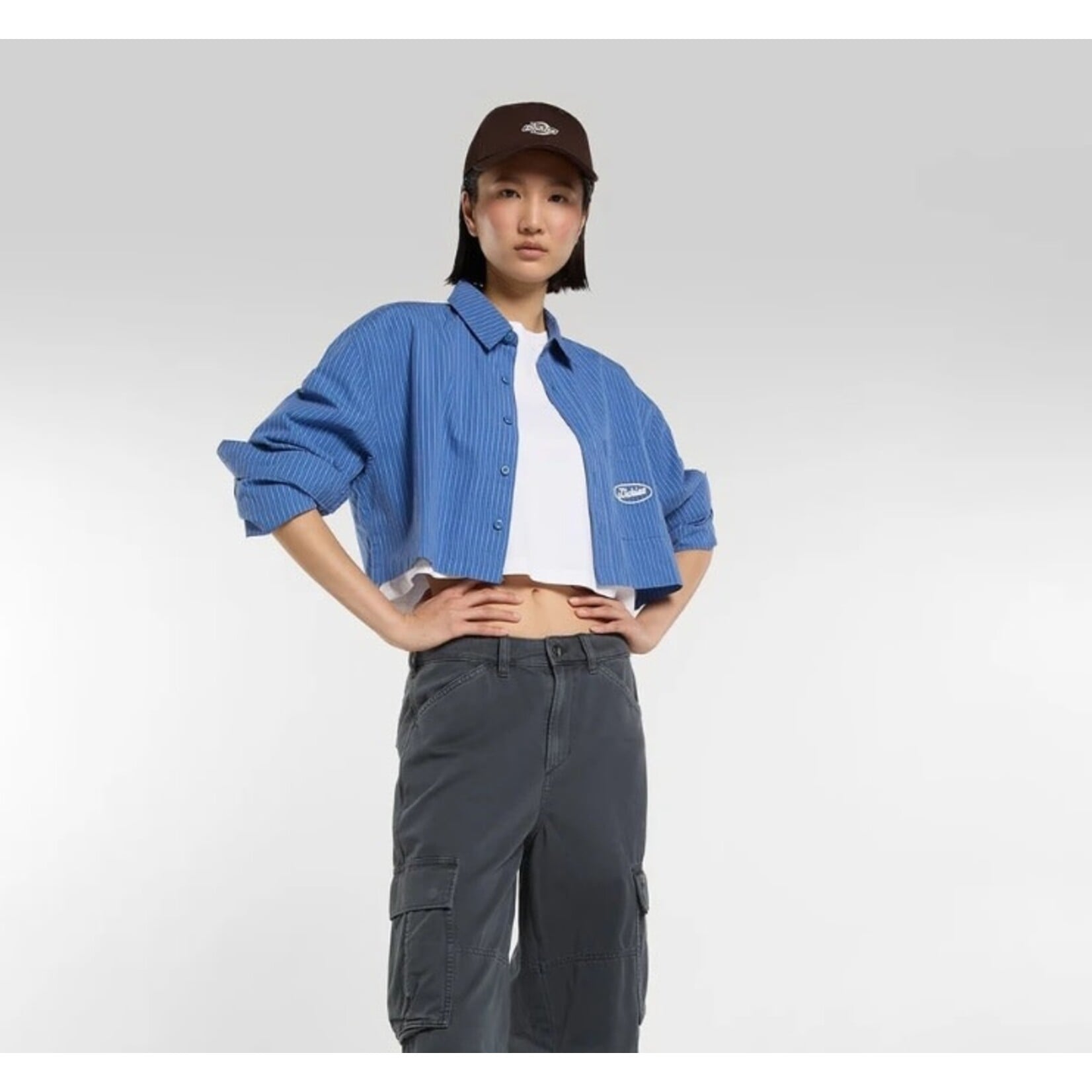dickies Dickies hemd shalimar cropped