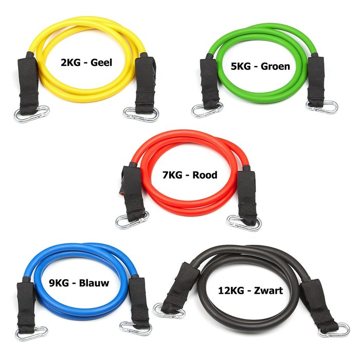 Workout Gear Tube Set - Fitness Elastiek - Weerstandsbanden - Met Handvatten