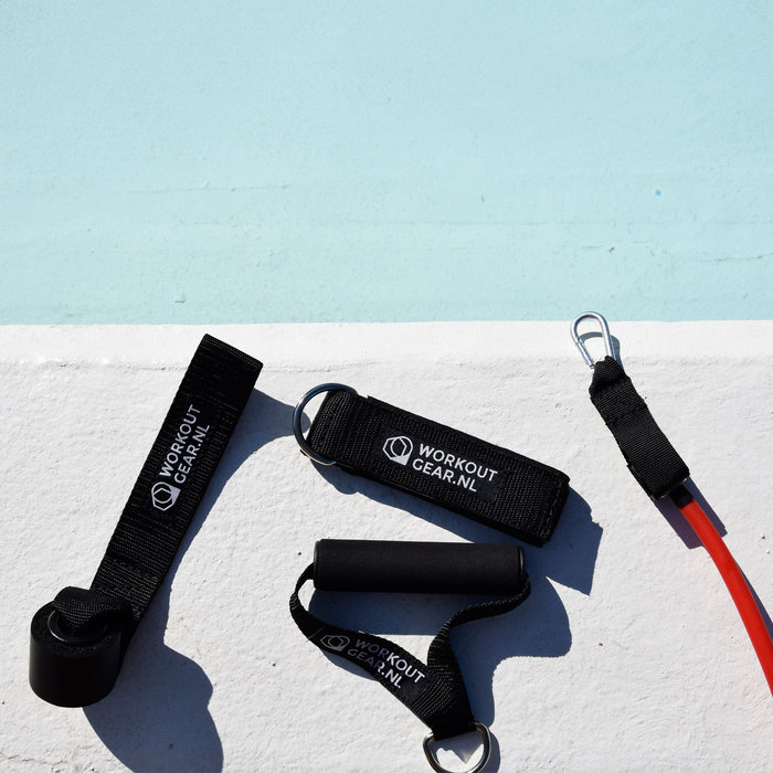 Workout Gear Tube Set - Fitness Elastiek - Weerstandsbanden - Met Handvatten