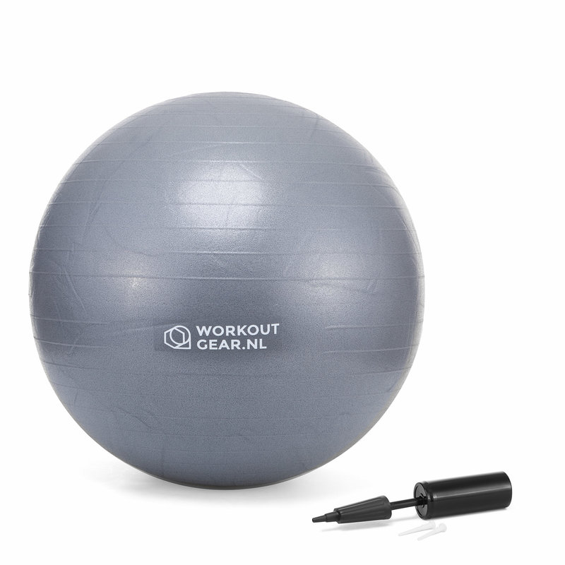 glas Vermaken composiet Fitness Ball - 65cm - Workout Gear - Workout Gear