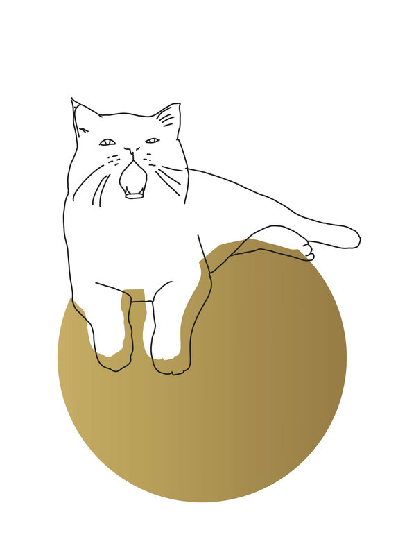 Kat & Gezeefdrukte kattenposter - lijntekening van kat goud op wit