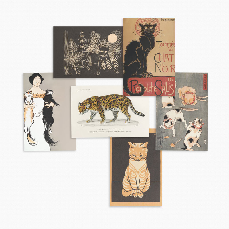 Kat & Ansichtkaarten kunst - set van 6 grafische kattenkunstkaarten