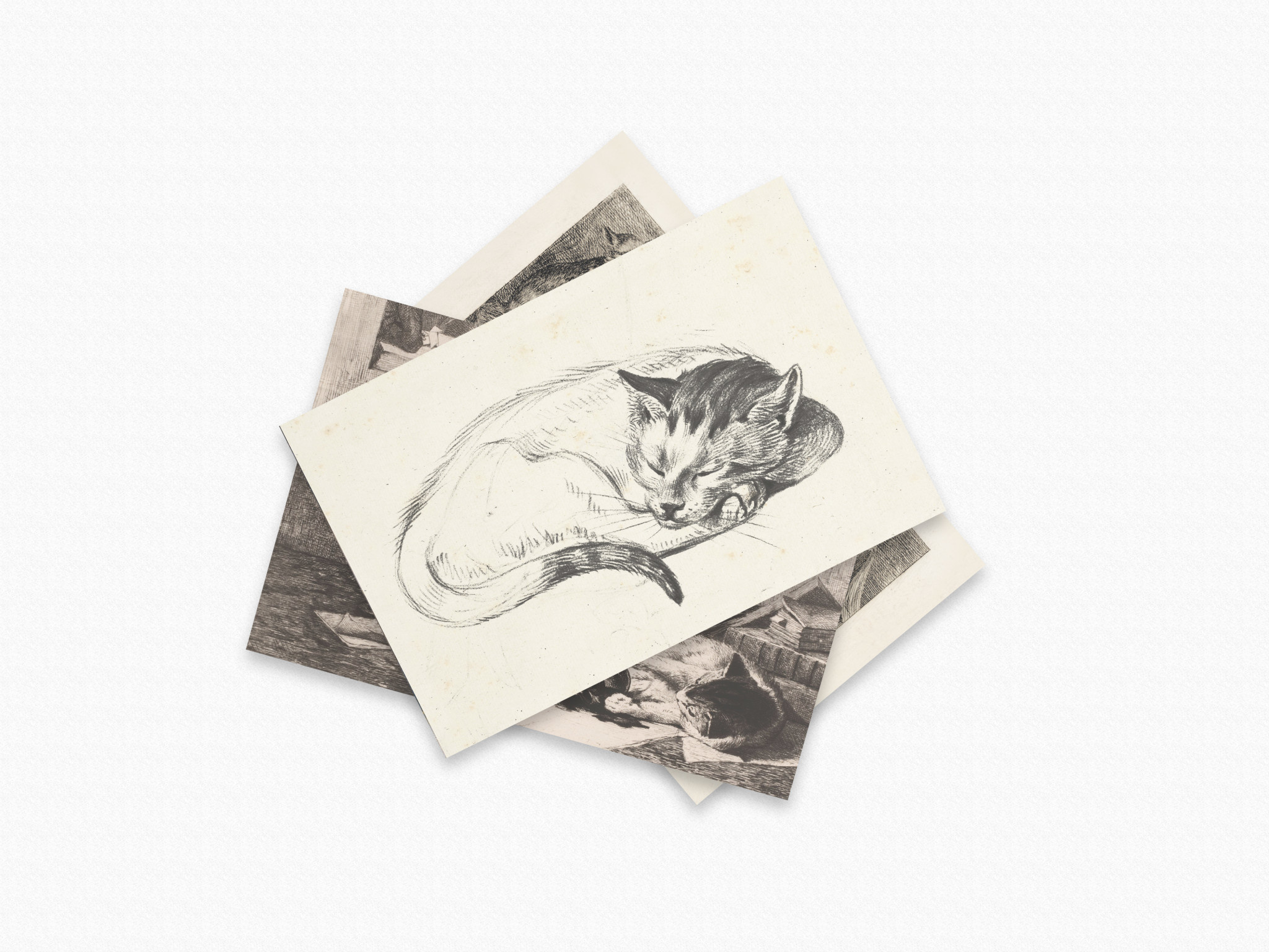 Kat & Ansichtkaarten kunst - set van 6  getekende kattenkunstkaarten